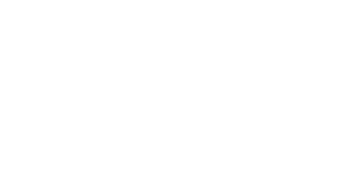 影王